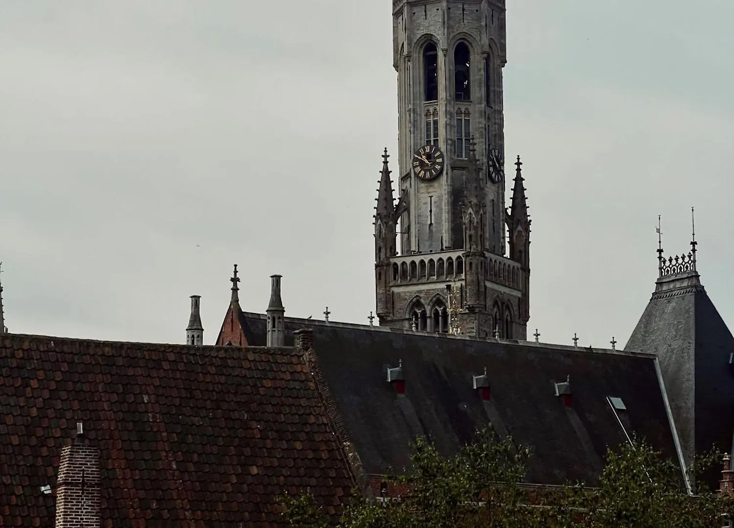 Hotel Rose Red Belgium